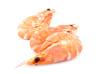 Shrimps on white background closeup.  Shrimps isolated.