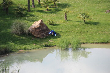 Zoo de Beauval - France