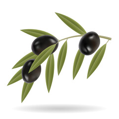 Obraz na płótnie Canvas Black Olives and Green Leaves