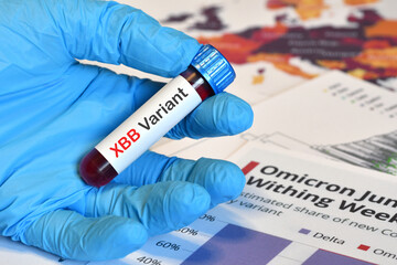 Obraz premium The doctor holds a blood test tube for the detection of the XBB Variant of the Covid-19 virus. Concept for the New Variant from Virus SARS-CoV-2 XBB