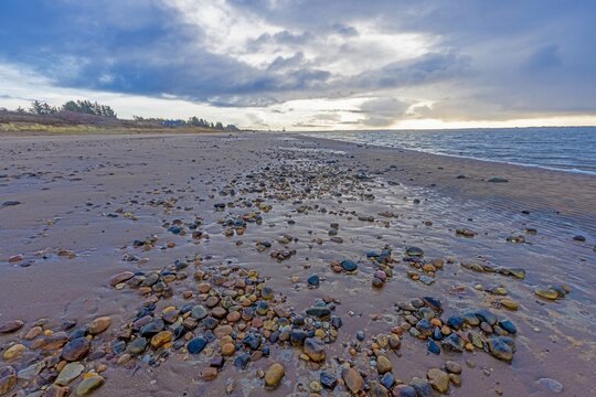 Image of shells and stones on a North Sea beach in Denmark in winter