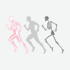 Fototapeta na wymiar Running Pose Human Bones vector image