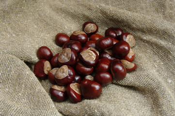 Chestnut fruits on a blurred burlap background. Close-up. Selective focus.