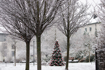 Obraz premium Weihnachtsbaum mit roten Kugeln im Schnee