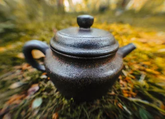 Foto op Aluminium teapot in the forest © Dmitrii