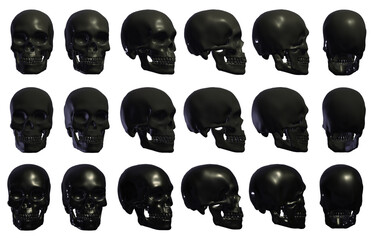 skull head anatomy