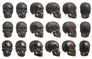 skull head anatomy