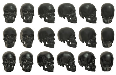 skull head anatomy