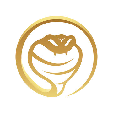 recommend clip art: Golden Glossy Snake Icon on a White Background
