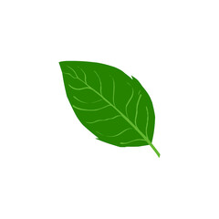tobacco leaf vector. tobacco icon. cigarette.