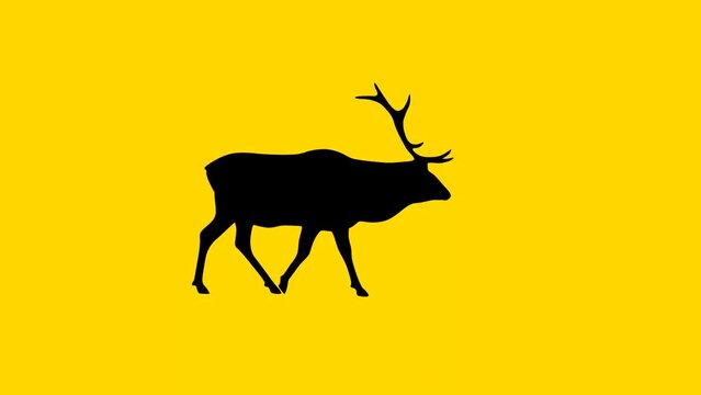Walking red deer, animation on the yellow background