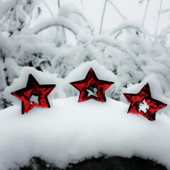 christmas star on snow