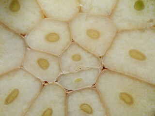Close up of a slice through a garlic bulb showing the cross section of the individual garlic cloves
