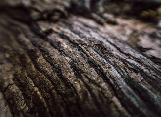 close up of a stone