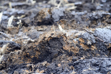 Photo of freshly plowed field