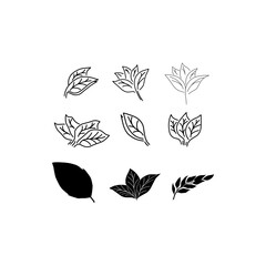 Tobacco leaf icons set. Collection icon tobacco. Vector