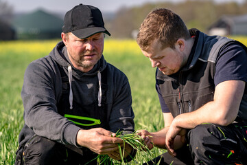 Landwirt und sein Auszubildener hocken in einem Grasbestand, Landwirt erklärt worauf man bei Gras...