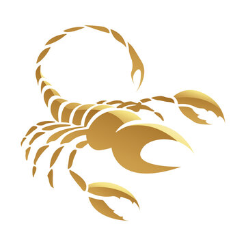 Golden Zodiac Sign Scorpio on a White Background Stock Illustration | Adobe  Stock