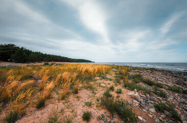 landscape with river