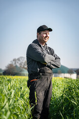 Landwirt steht in einem Feld mit Schnittroggen vor einer Biogasanlag im Hintergrund und blickt...