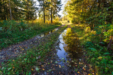 Gravel road in the forest. Reflections in water. Jakobstad/Pietarsaari, Finland. 