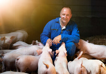 Junger Landwirt wird von Ferkeln umlagert in einem Schweinestall und beschnuppert. - obrazy, fototapety, plakaty