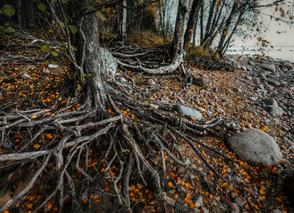 fishing net on the beach