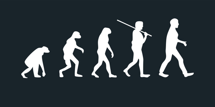 human evolution  It was an evolutionary process that led to the appearance of Contemporary man