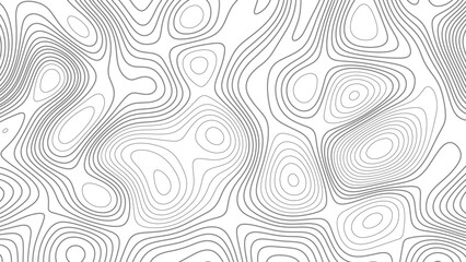 Fototapeta premium Topographic background and texture, monochrome image. White wave paper curved reliefs abstract background, Abstract lines background. Contour maps. Vector illustration, 