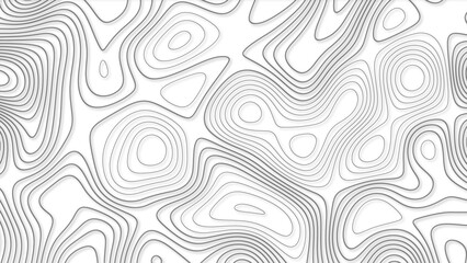 Topographic background and texture, monochrome image.
White wave paper curved reliefs abstract background,
Abstract lines background. Contour maps. Vector illustration,
