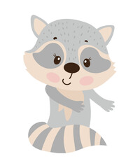 Cute cartoon illustration of raccoon.