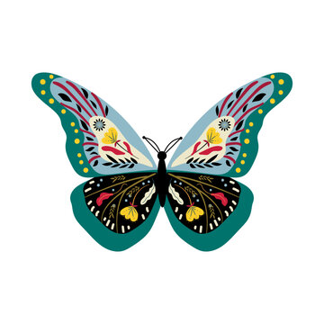 Colorful butterflie with floral ornament.