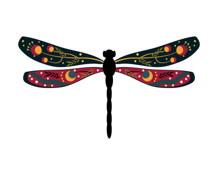 Colorful dragonfly with floral ornament.