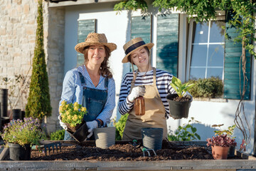 Female gardeners replant plants from a pot in the garden