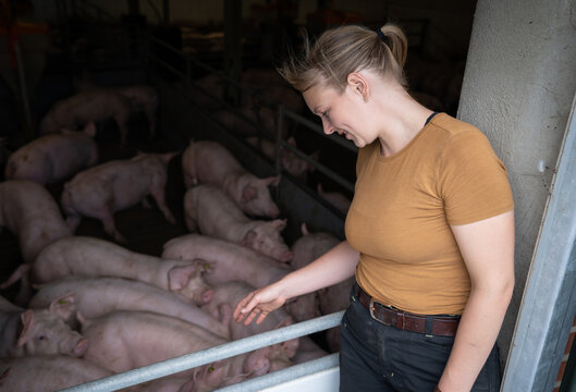 Junge hübsche Landwirtin steht vor einem offenen Schweinestall und freut sich über die gesunden Schweine.