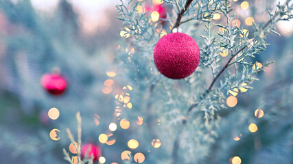 Blurry christmas background with cypress branches and red christmas balls and many lights- nice...
