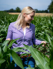 Zufriedene Jungbäuerin in einem Maisfeld, freut sich über die Maispflanzen.