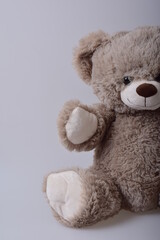 gray teddy bear on a light background - 557231883