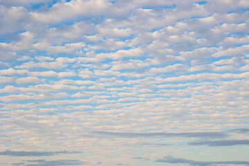 Naklejka na ściany i meble Cirrocumulus clouds forming over Northumberland on a lovely summers day