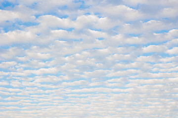 Cirrocumulus clouds forming over Northumberland on a lovely summers day