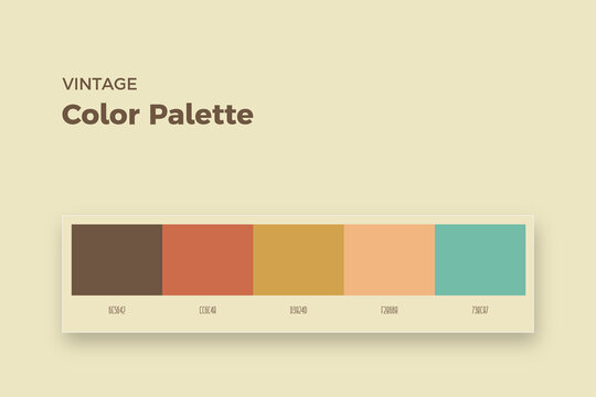 Vector large set of cool vintage color swatches eps 10