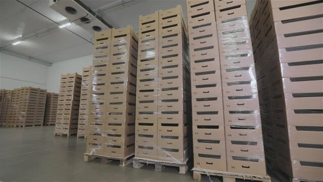 Modern food warehouse. Warehouse with food products. Food warehouse refrigerator.