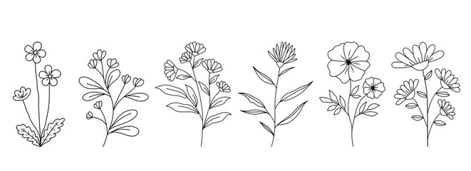 Fototapeta premium Decorative Branch Illustration Flower Line Art