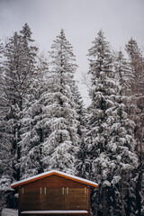 snow covered house