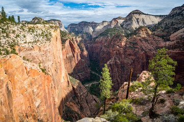 view into zion narrows canyon at zion national park from top