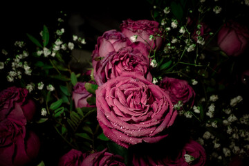 Fototapeta na wymiar Wet pink roses in the dark. Bouquet of pink roses with dew drops on the petals