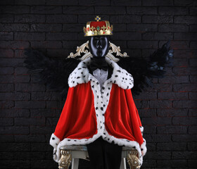 devil king with black wings