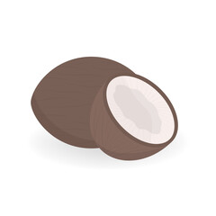 Fresh whole and a half coconut. vector illustration isolated on white background. 