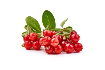 Lingonberry with leaves, isolated on white background.