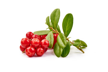 Lingonberry with leaves, isolated on white background.